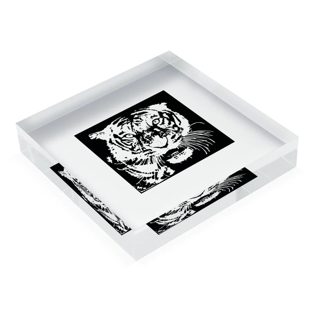 TIGER_LEEのブルース・リー先生 お気に入りの寅 🐯 Acrylic Block :placed flat
