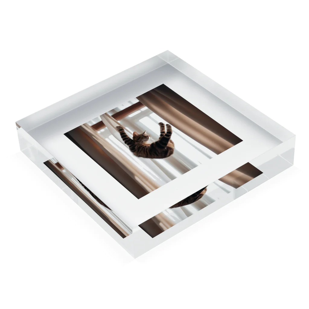 takeoutのカーテンにつかまっているネコ Acrylic Block :placed flat
