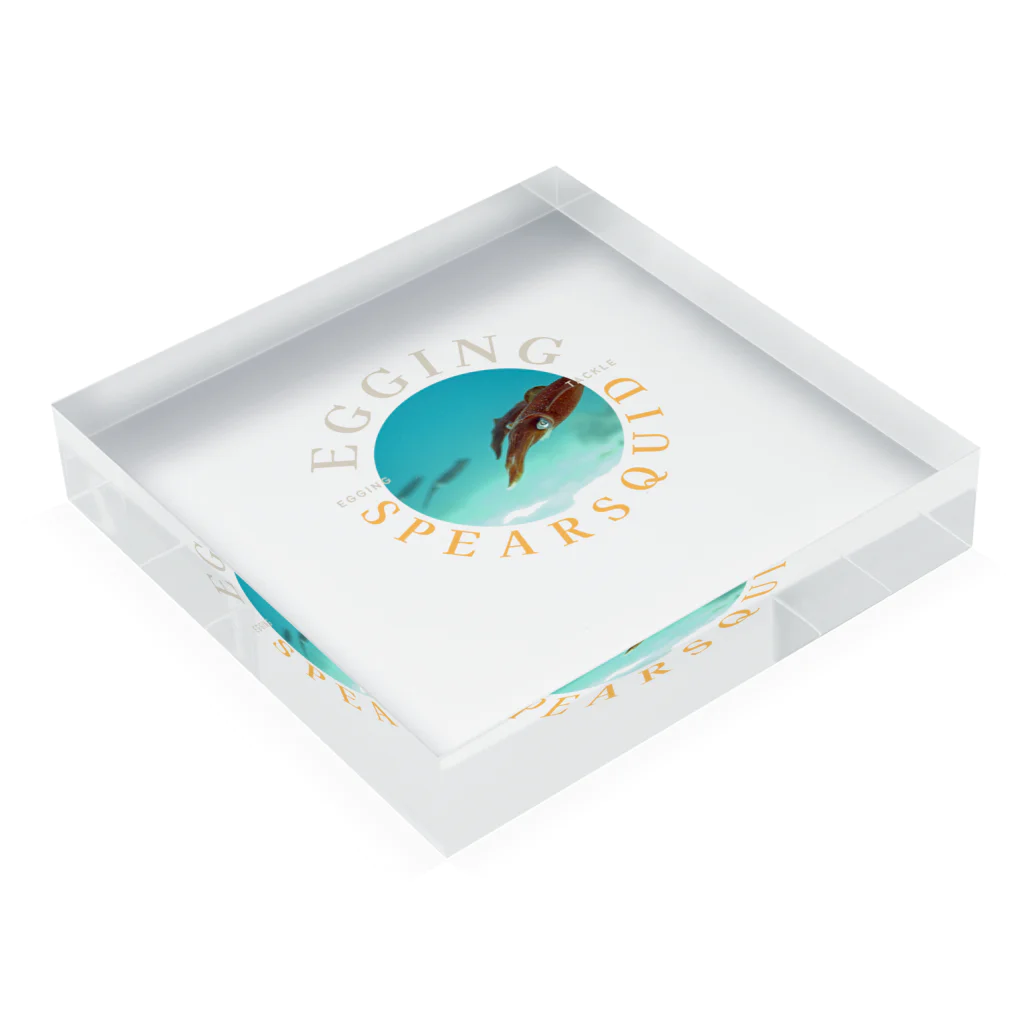 Yanjiisのエギング　釣り　ヤリイカ　 Acrylic Block :placed flat