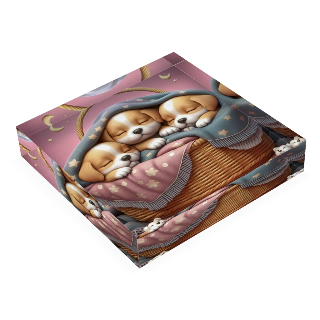ふわふわ子犬の第②弾！ほっこり♡ ふわふわ子犬 Acrylic Block :placed flat