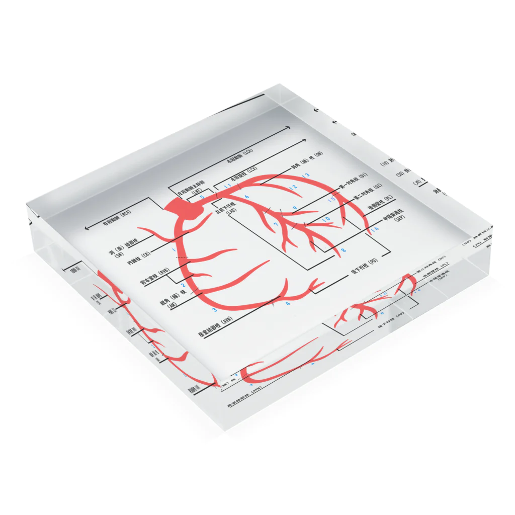 ゆんちるのとにかく冠動脈 Acrylic Block :placed flat