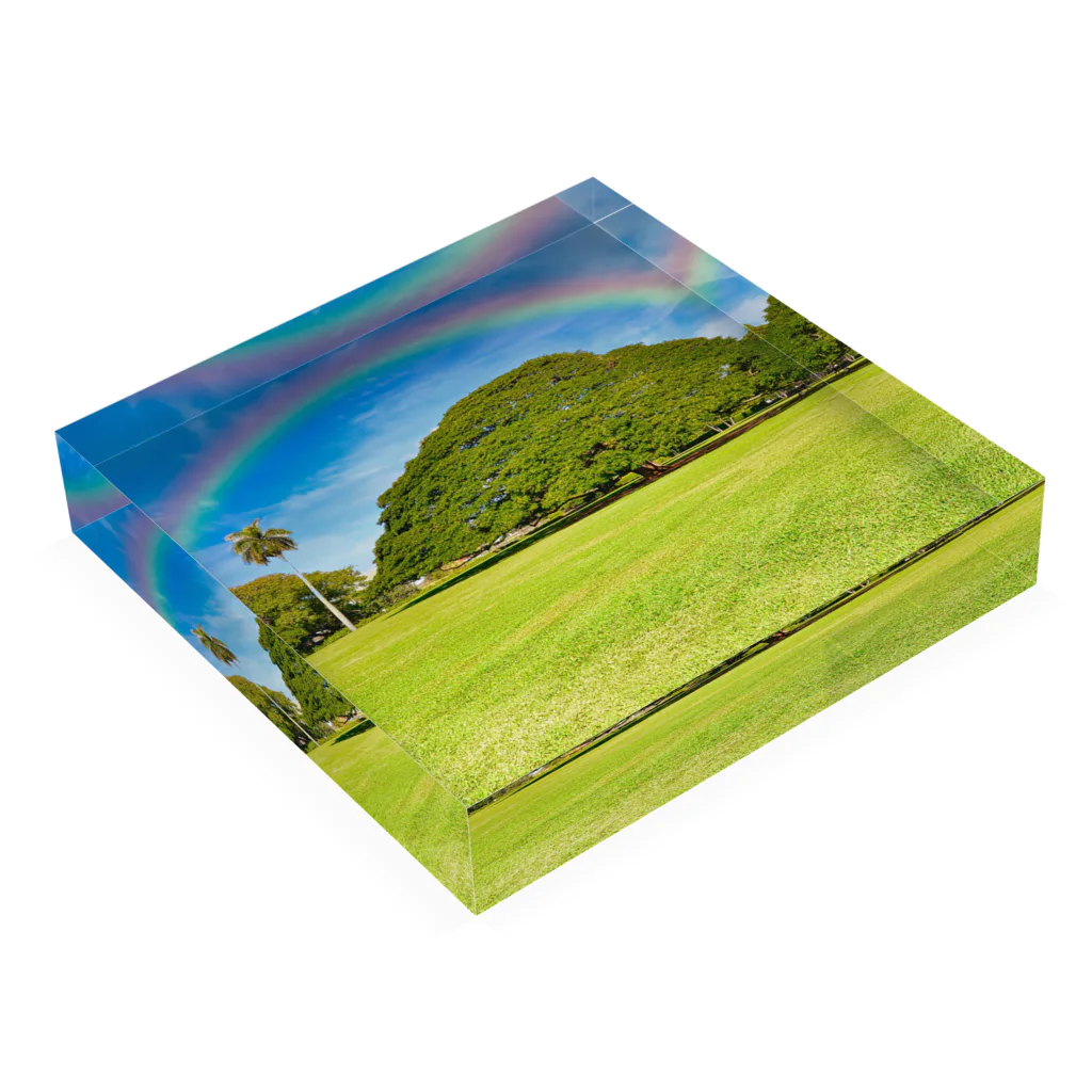 ハワイ 日立の樹（モンキーポッド） / アロハスタイルハワイ ( hawaii_goods801 )のアクリルブロック通販 ∞ SUZURI（スズリ）