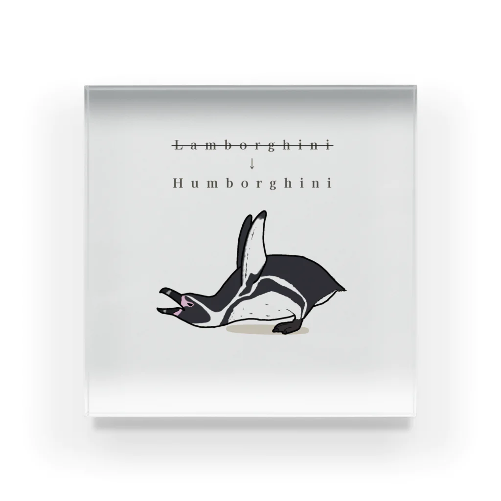 フンボルギーニ / うみのいきものや ( checorca_44 )のアクリル