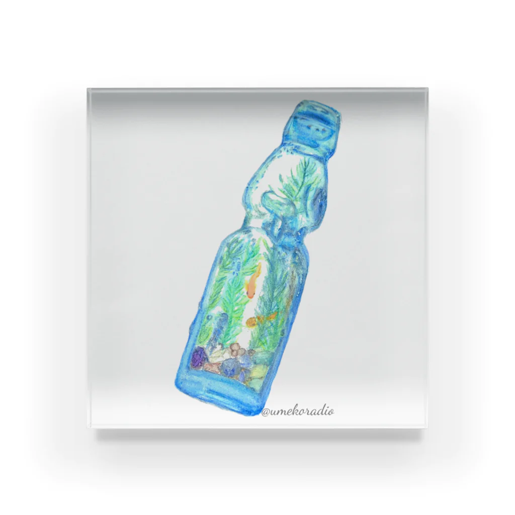 千歳くんはラムネ瓶のなか　アクリルブロック　セット 千歳くんはラムネ瓶のなか』ヒロインアクリルブロック 七瀬悠月