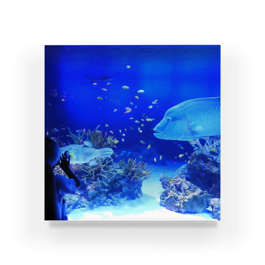 ☁️のガラス越しに Acrylic Block