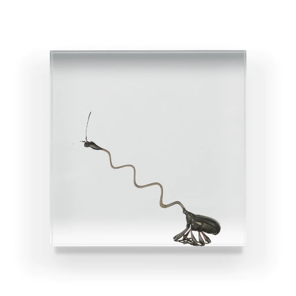 フミフミ 904040サイドアクリル フミフミ 904040サイドアクリル