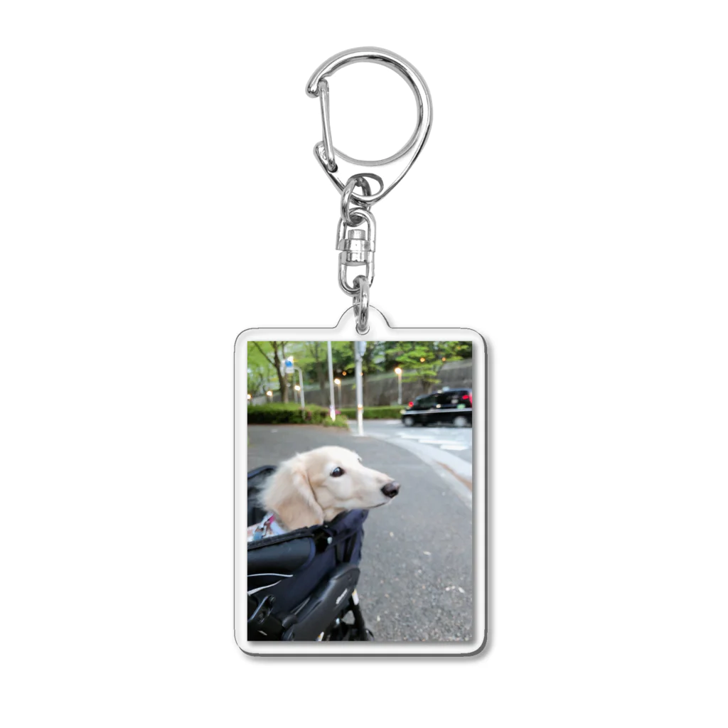 あるちゃんさん屋さんの先輩犬 Acrylic Key Chain