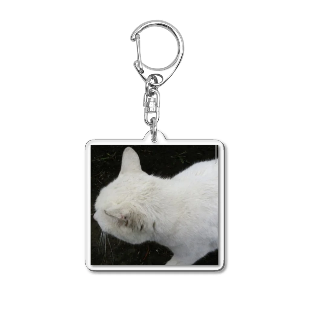 公式　猫目石検定　CHERRYSTONE　　の白猫 Acrylic Key Chain