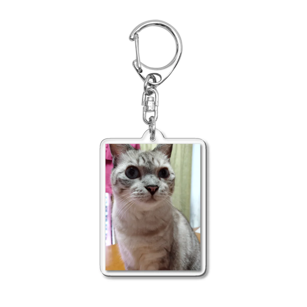 ねこの森でお散歩のお目々くりくりにゃんこ Acrylic Key Chain