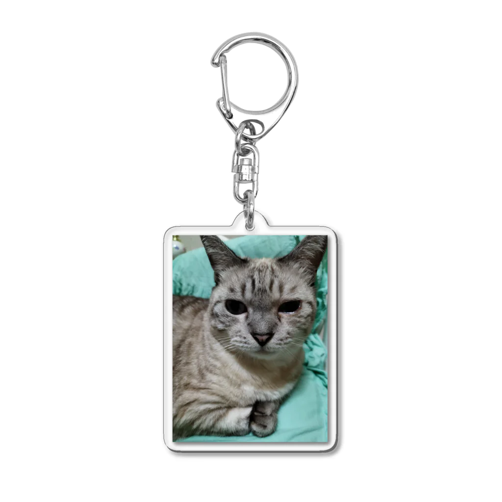 ねこの森でお散歩の微妙な顔をするかわいいシャムミックス Acrylic Key Chain