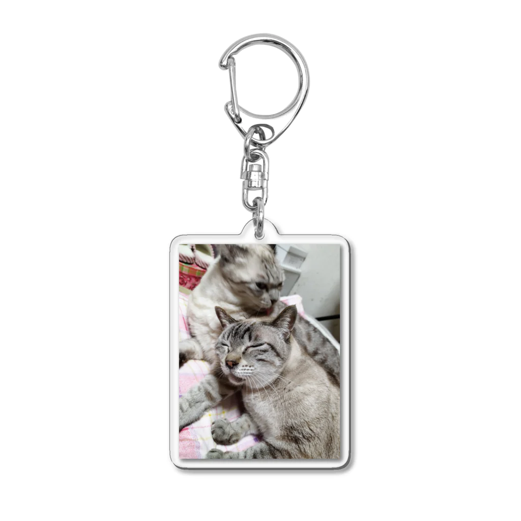 ねこの森でお散歩の至福のシャムミックス Acrylic Key Chain