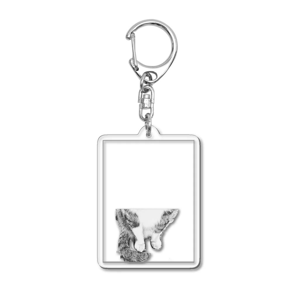 HIDDEN MOON-ARIAKEの16 OC × Acrylic Key Chain