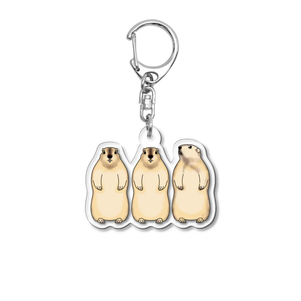 マーモット / 天十里SHOP ( ATORI3858 )のアクリルキーホルダー