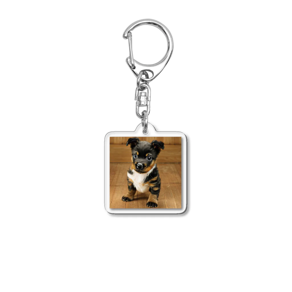 FUWAFUWAPAWSの可愛い子犬 Acrylic Key Chain