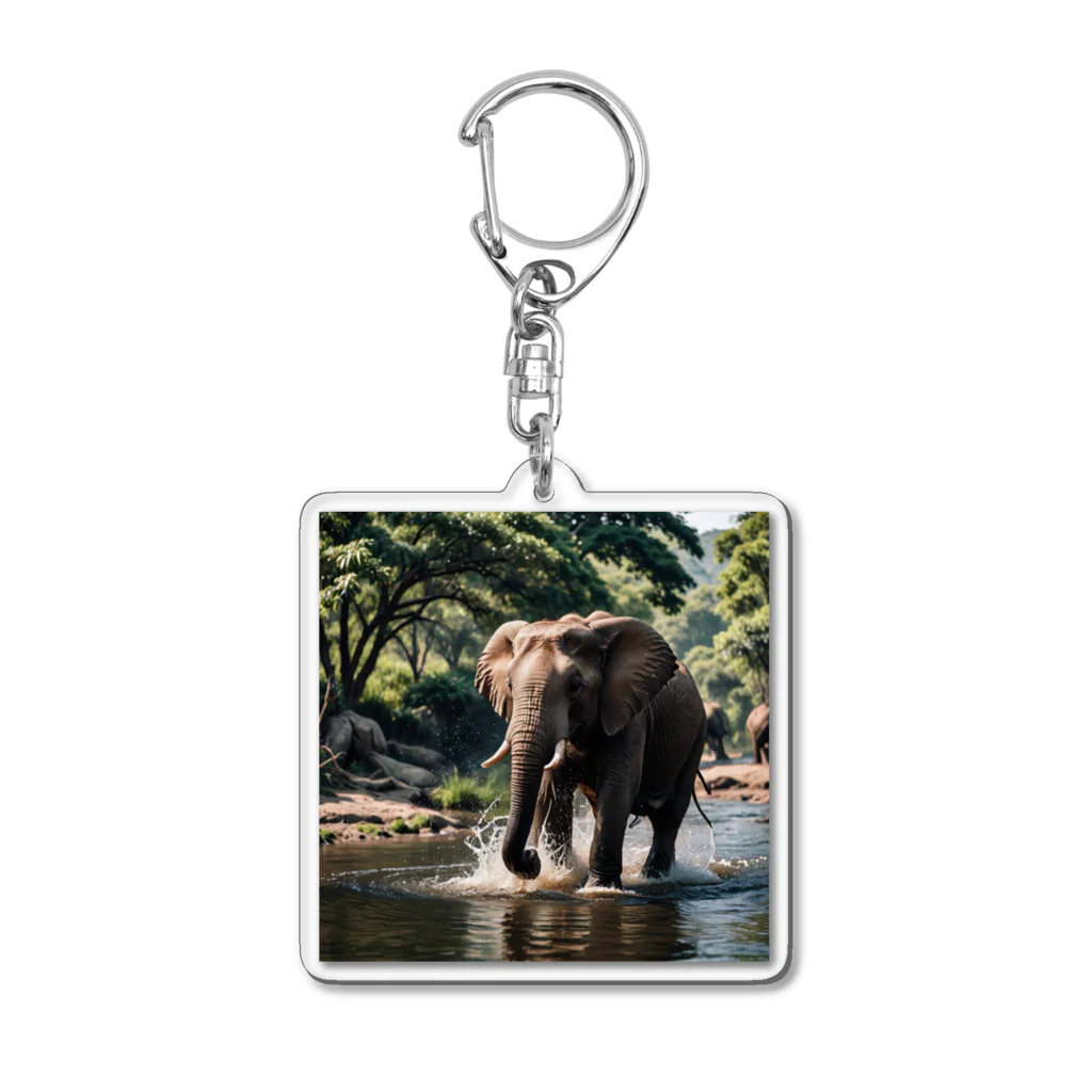 ミスターの遊んでいる象 Acrylic Key Chain