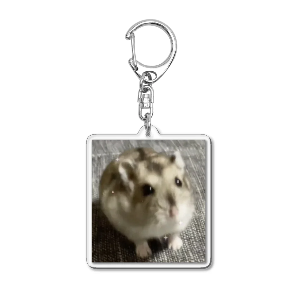 cozaoのたーさんグッズ Acrylic Key Chain