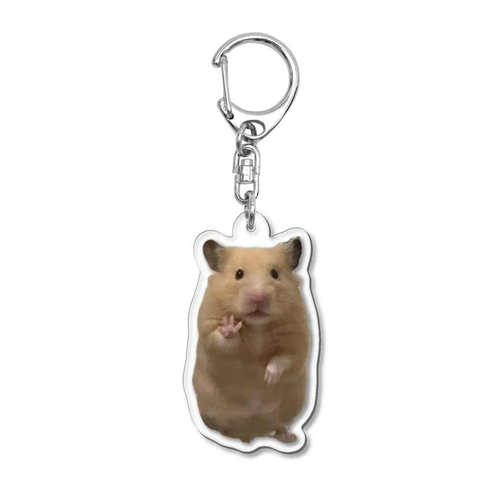 愉快なキンクマきなこのグッズ / 愉快なキンクマきなこパーク