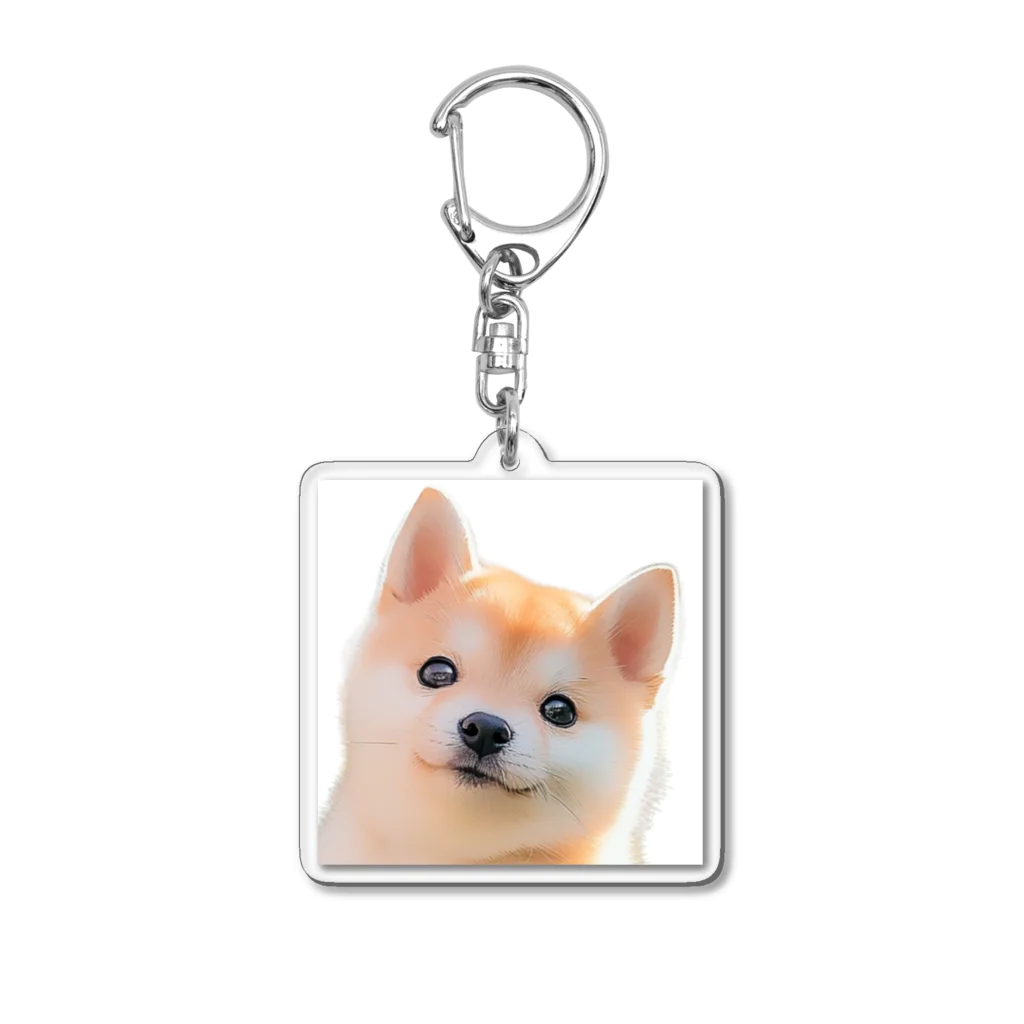 癒しの箱庭の柴犬の子犬 Acrylic Key Chain