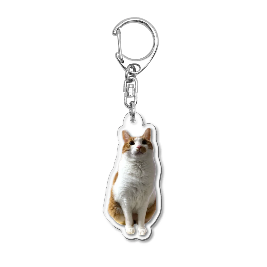 mellokkomaのふわふわコマ Acrylic Key Chain