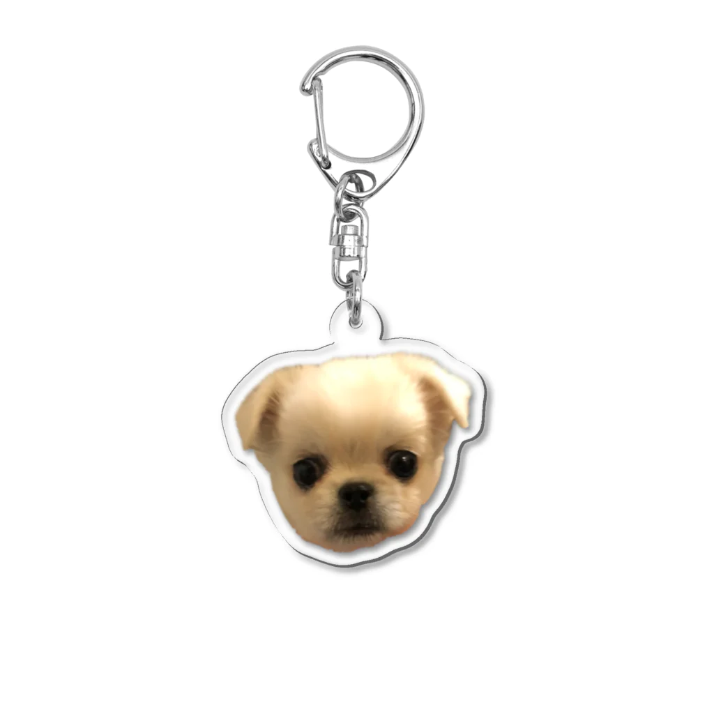 四本足のお友達の四本足のお友達 Acrylic Key Chain