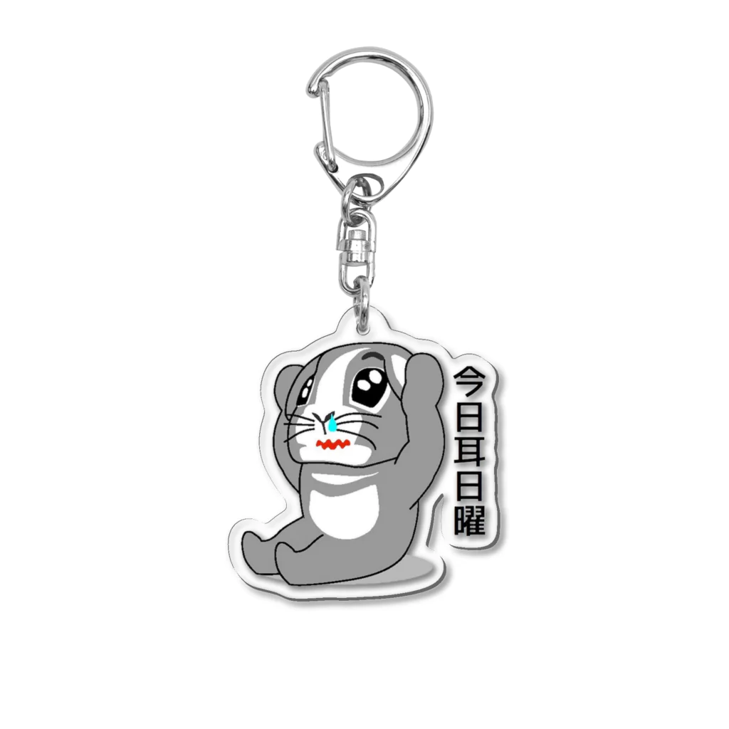 はこちゃん今日耳日曜アクリルキーホルダー / Sigachan-go