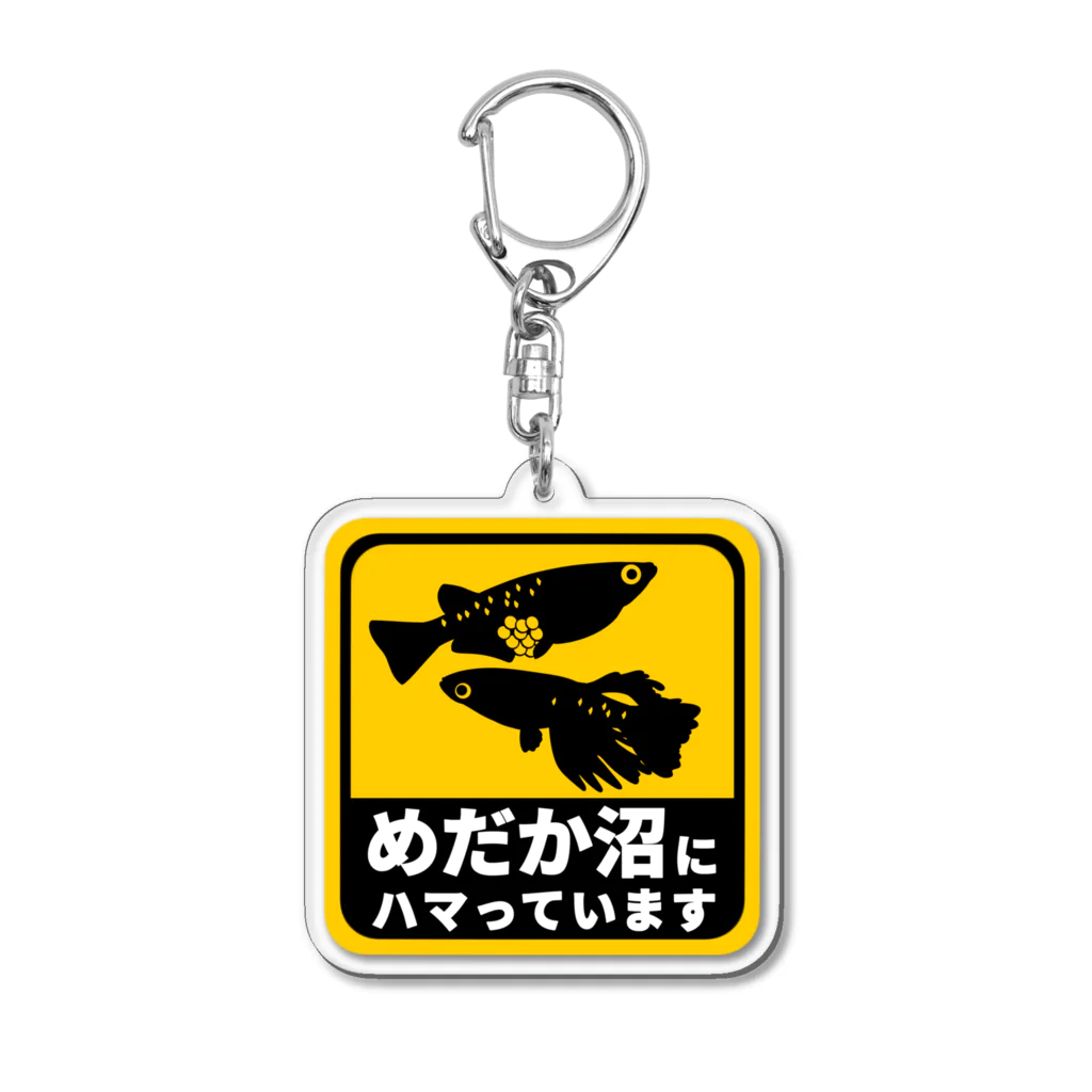 キーホルダー・アクリルキーホルダー KAYA 梓川】BACK SATAGE PASS風アクリルキーホルダー ／1st ONE-MAN