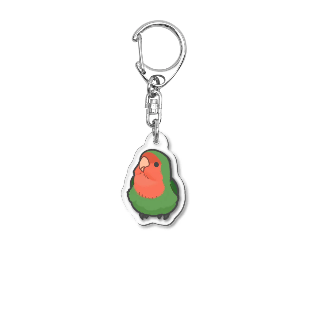 Maeken Gamesのこざくらいんこ Acrylic Key Chain