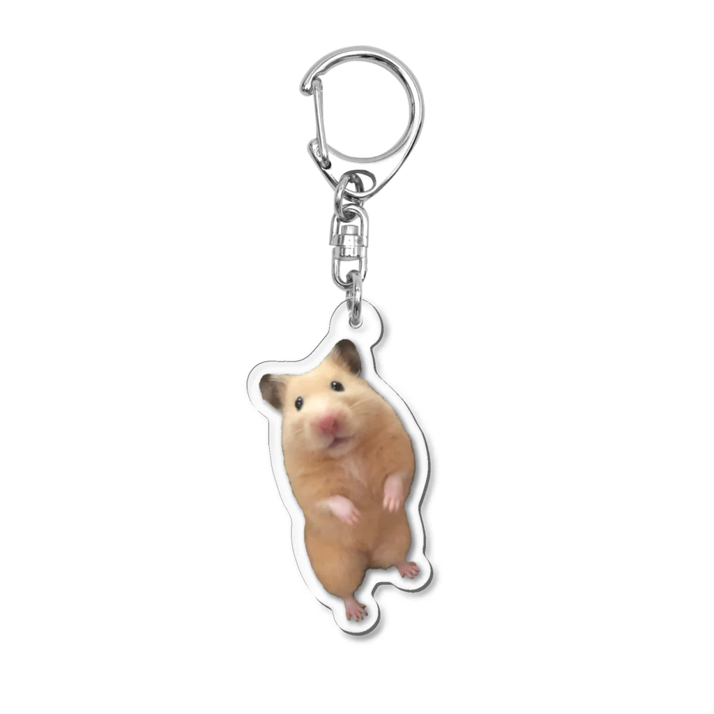 ONEUS ソホ アクスタ キーホルダー プロップス セット ONEUS ソホ アクスタ キーホルダー プロップス セット タレント