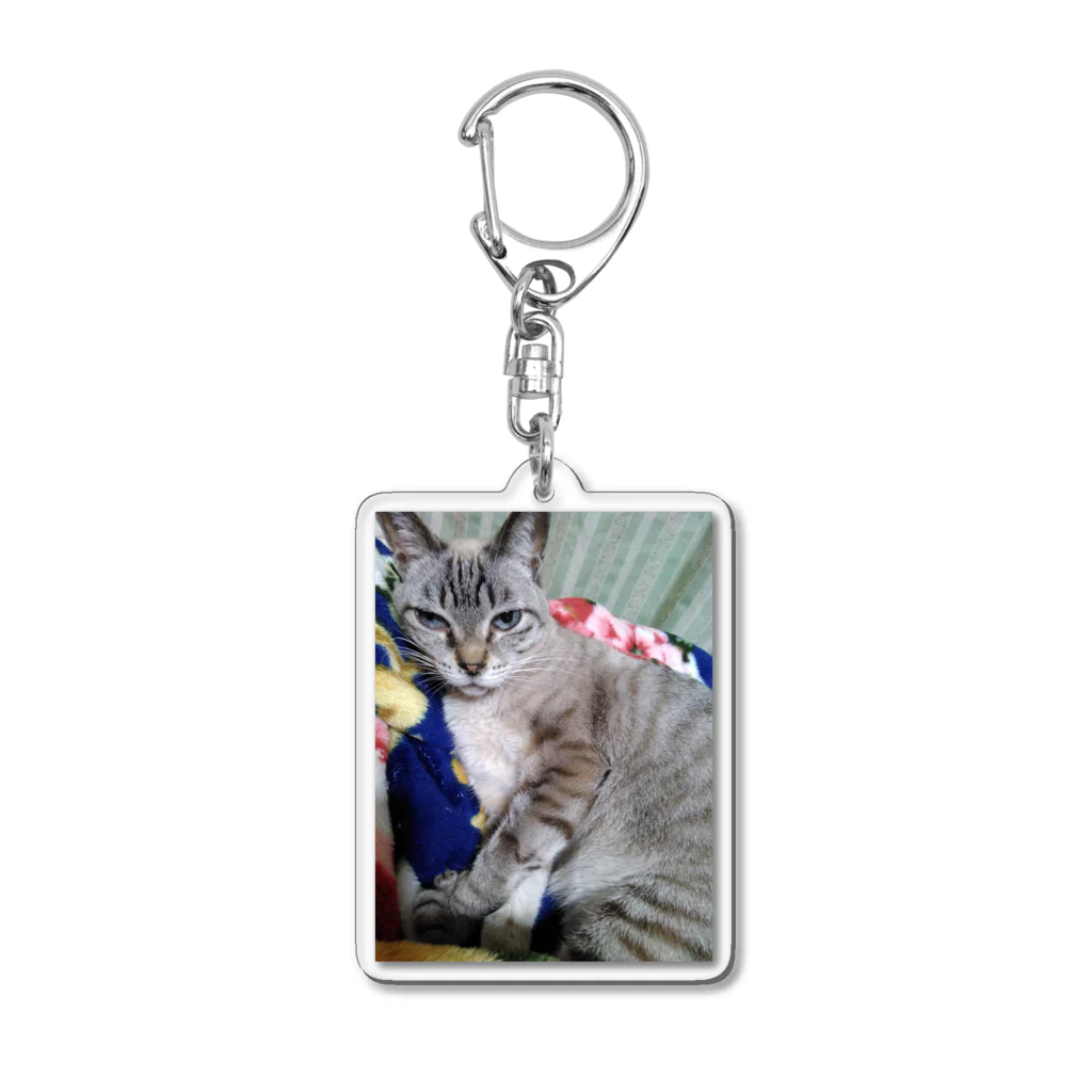 ねこの森でお散歩の幸運を呼ぶモカちゃん Acrylic Key Chain