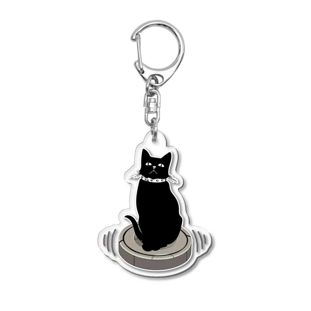 ルンバに乗る黒猫 / サトオ ( satoo5252 )のアクリル