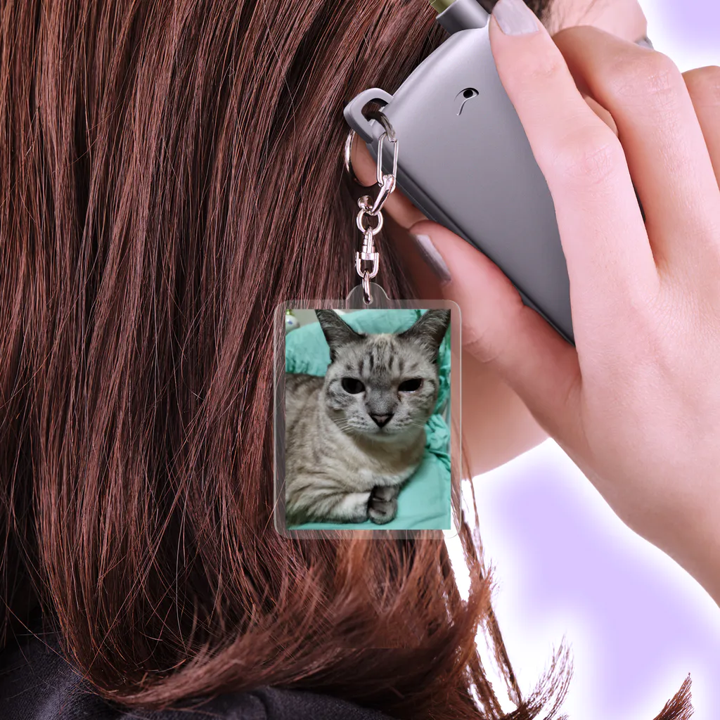 ねこの森でお散歩の微妙な顔をするかわいいシャムミックス Acrylic Key Chain