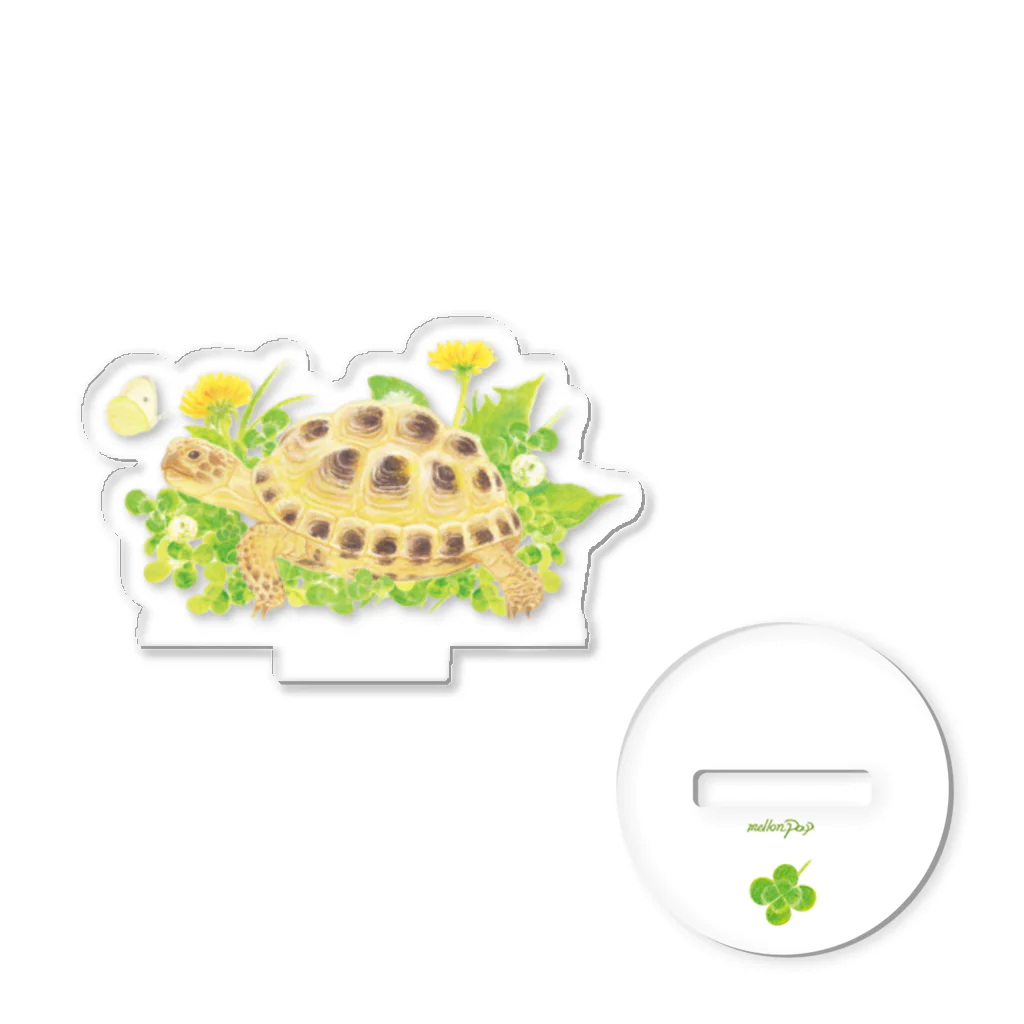 めろんぽっぷのお店だよのたわむれ ヨツユビリクガメ アクスタ！ Acrylic Stand