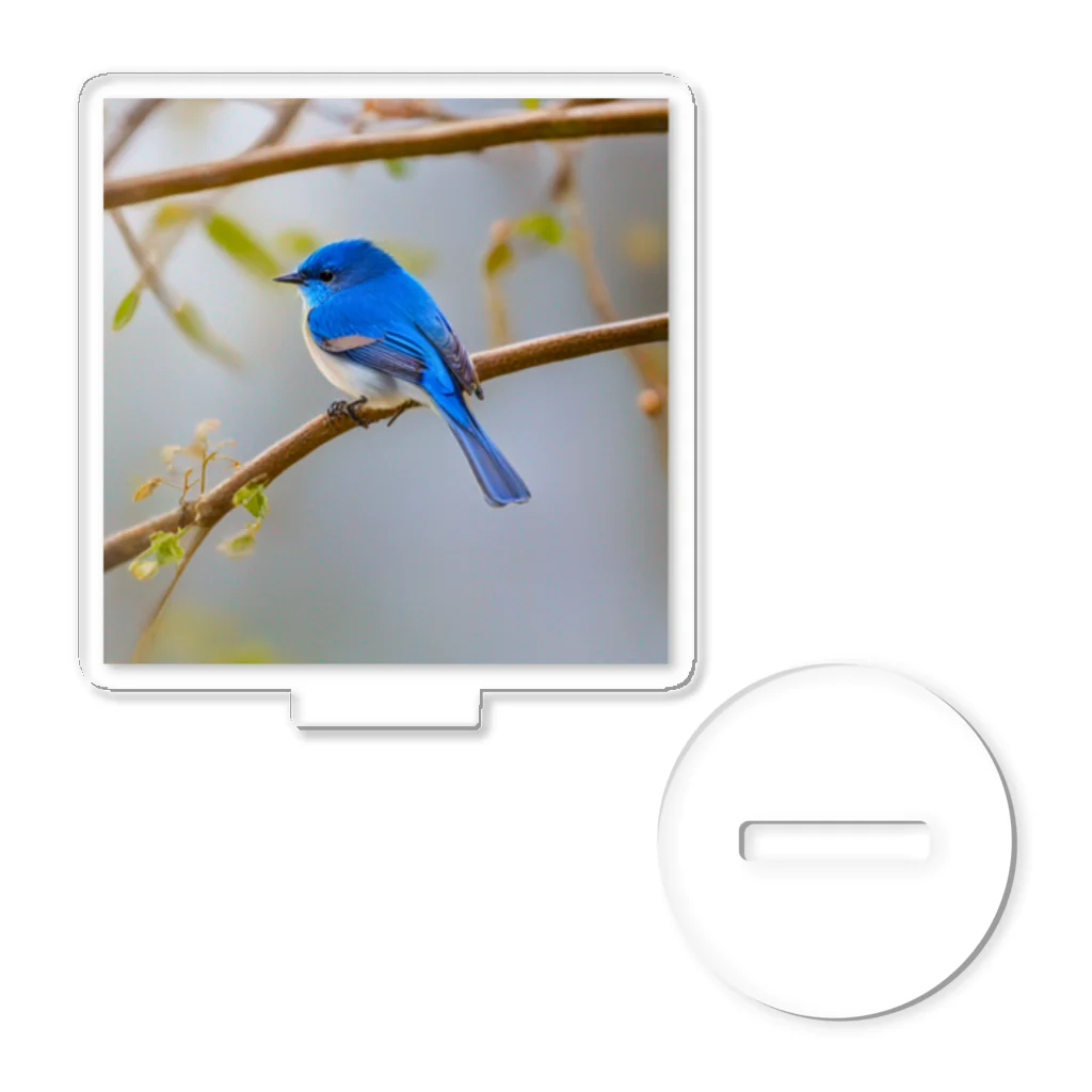 DROOMの自然と蒼い鳥 Acrylic Stand