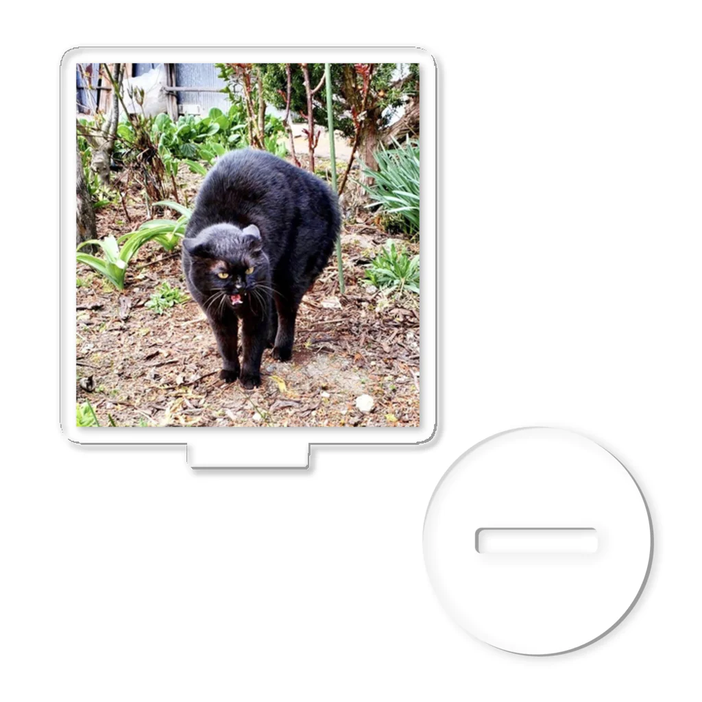 猫のらぶのガチギレねこ Acrylic Stand