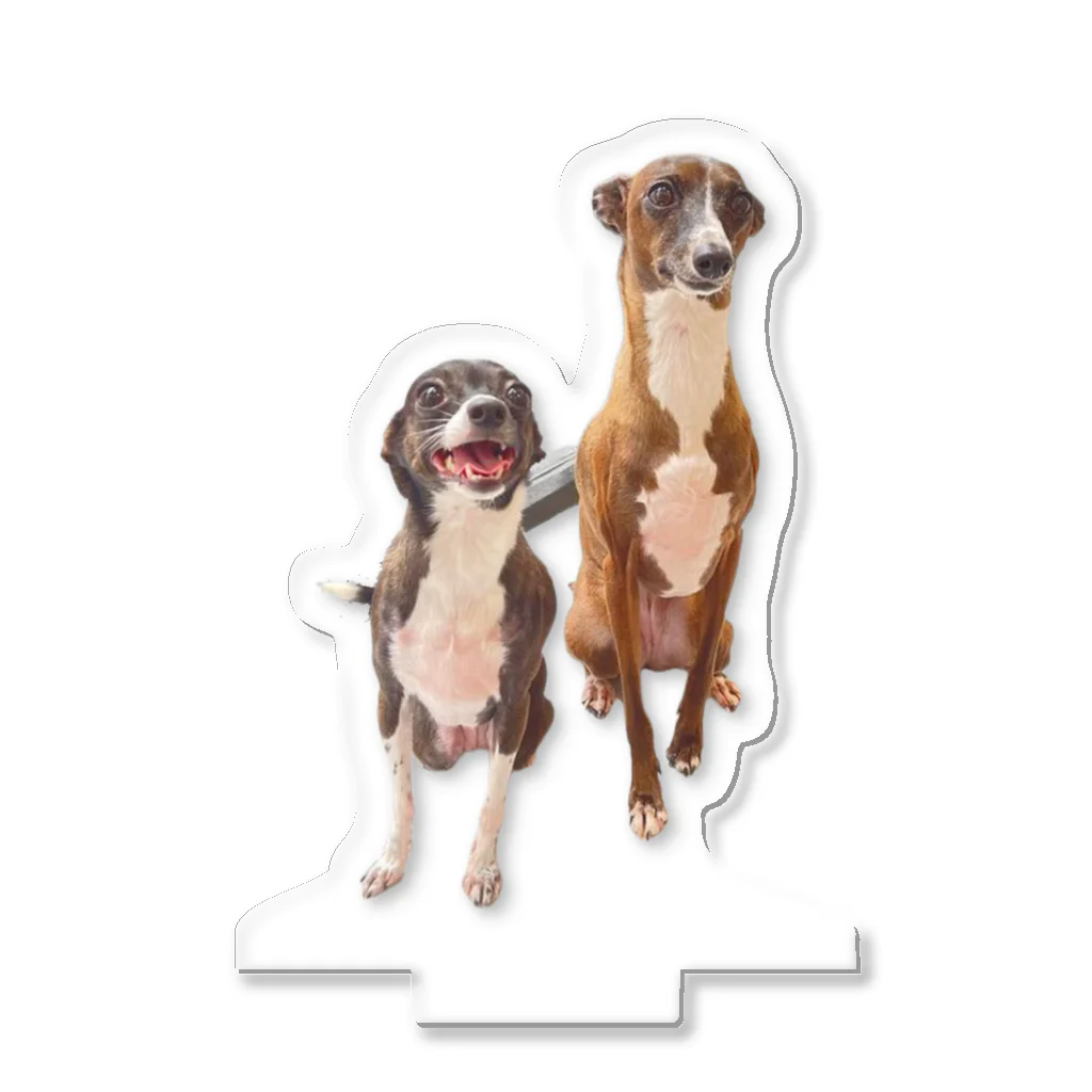 KARTEのダリロイしか勝たん Acrylic Stand