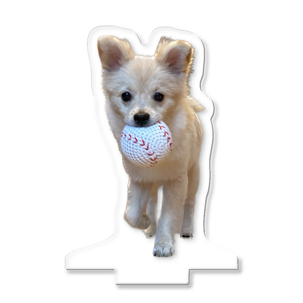 ポメチワのウェルのポメチワのウェル Acrylic Stand