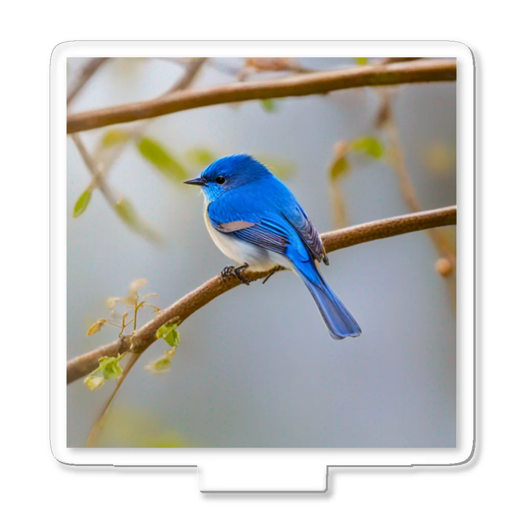 DROOMの自然と蒼い鳥 Acrylic Stand