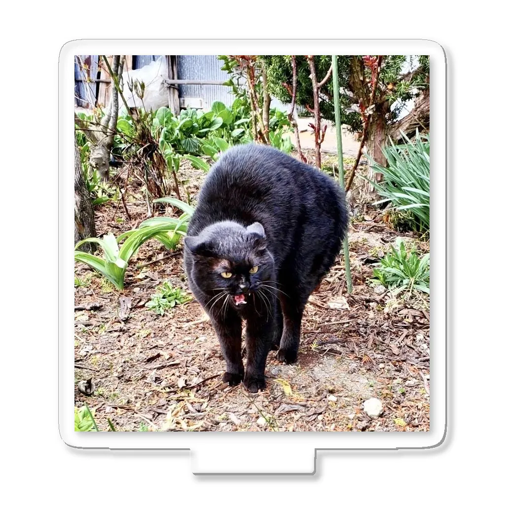 猫のらぶのガチギレねこ Acrylic Stand