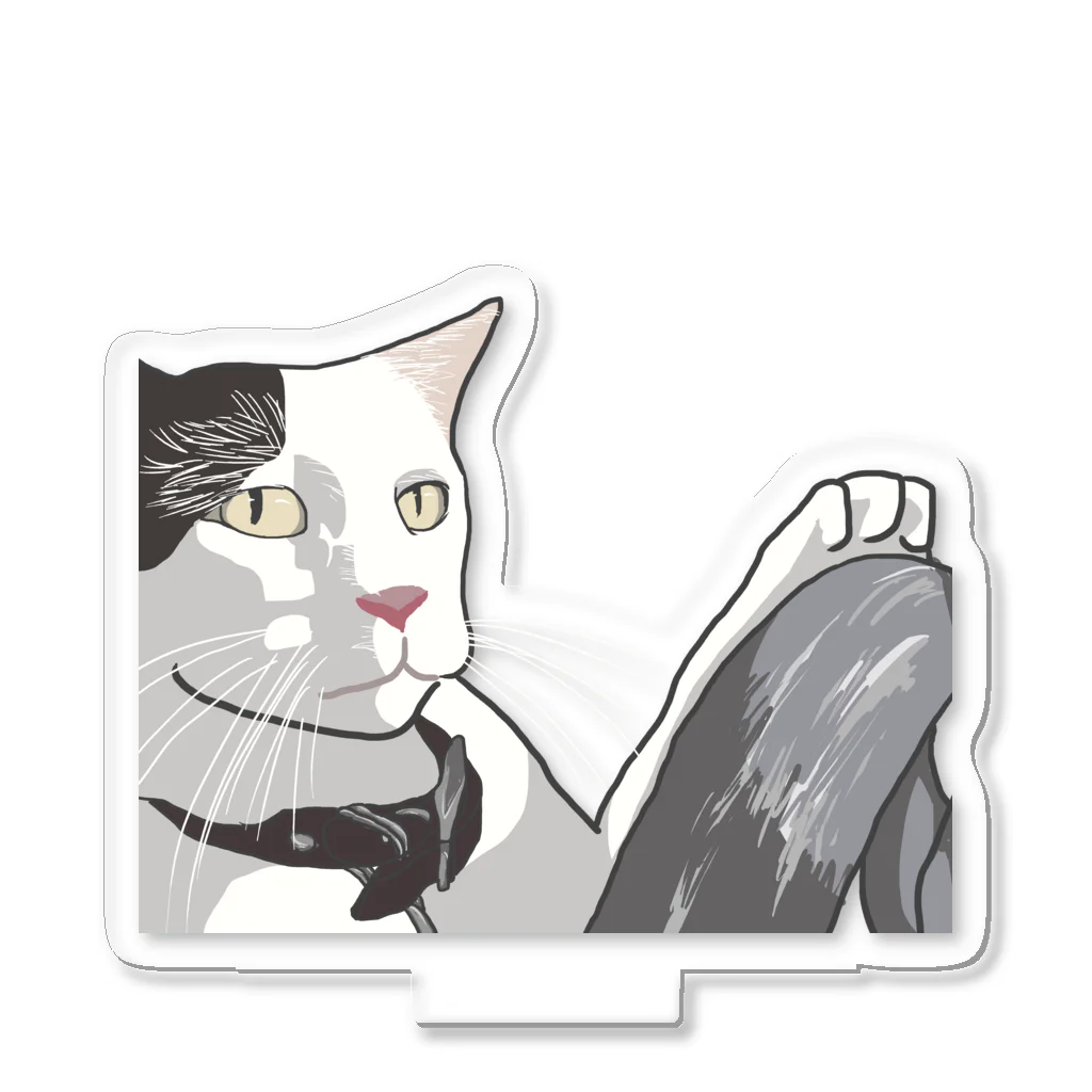 運転する猫 / CAT JAM CLUB（キャットジャムクラブ