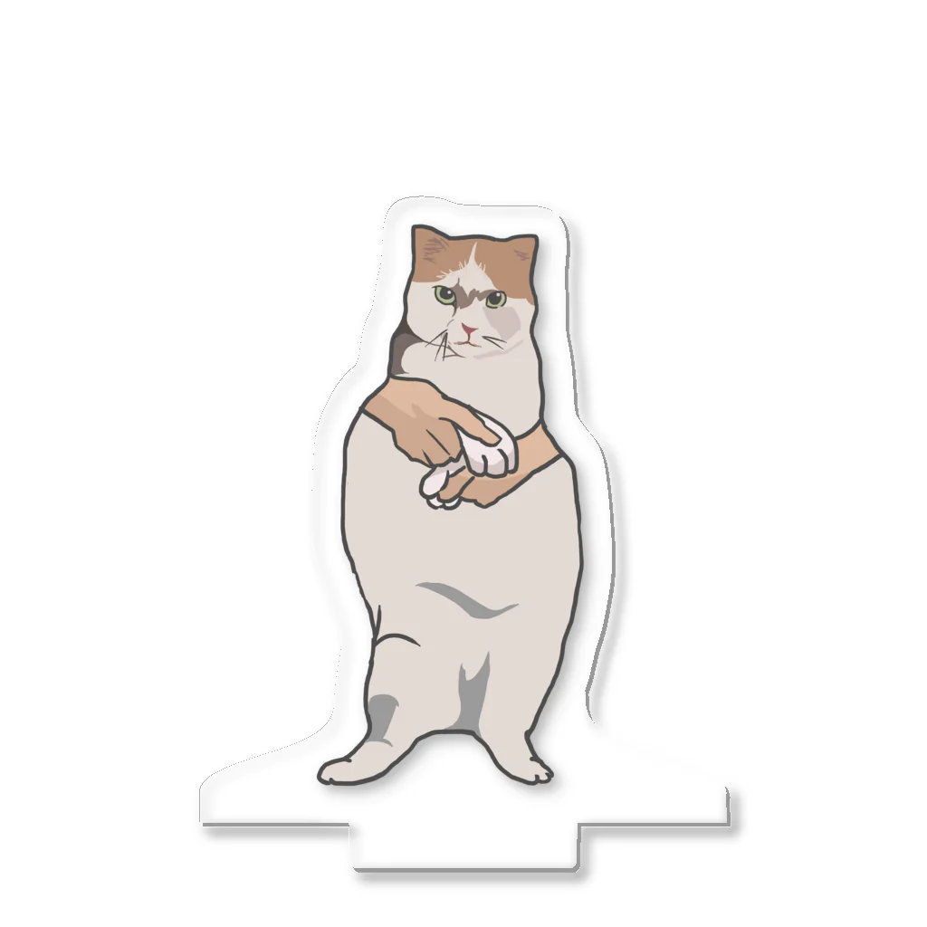 スリスリ踊る猫 / CAT JAM CLUB（キャットジャムクラブ