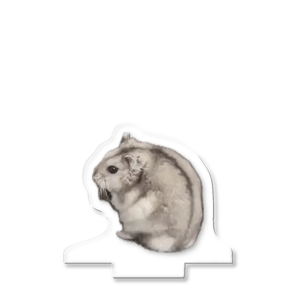 cozaoのたーさん Acrylic Stand