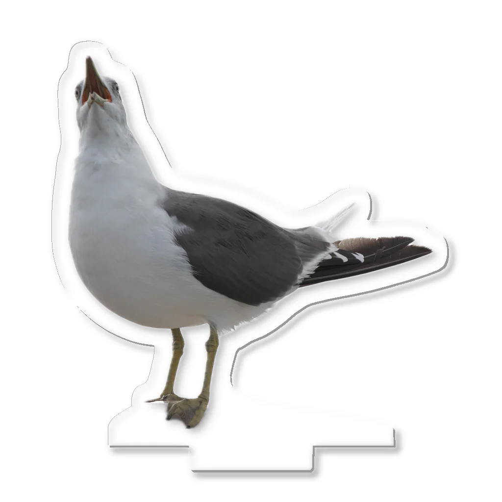 山汐のｳﾐﾈｺﾁｬﾝ煽りver Acrylic Stand