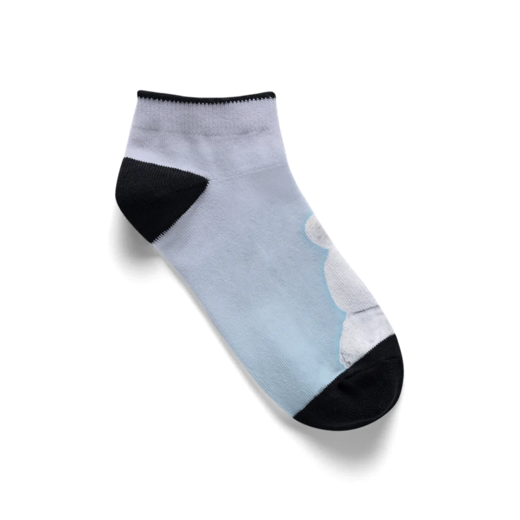 Bubblicious様　tシャツ ソックス 楽天市場】【スケボー/ スケートボード / Tシャツ】WHIMSY SOCKS