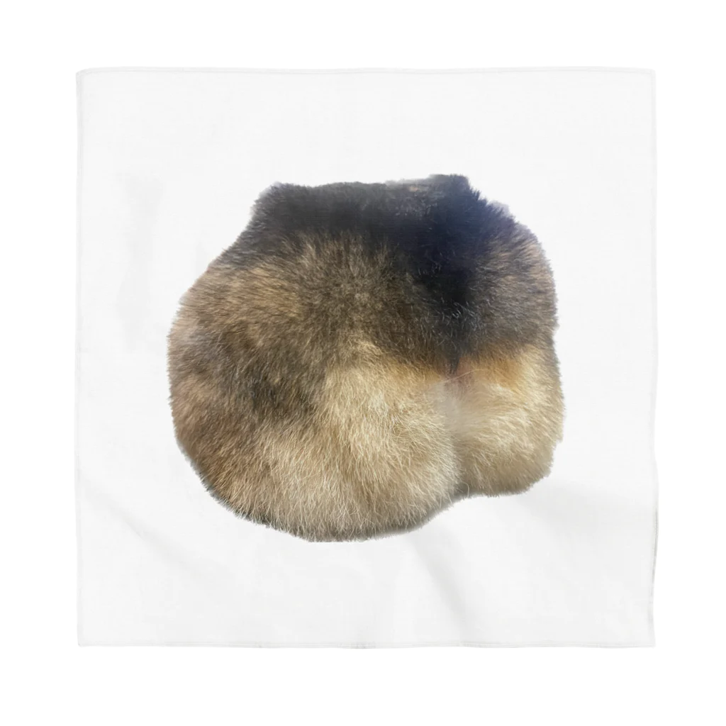 SonriamoSのコギケツ Bandana