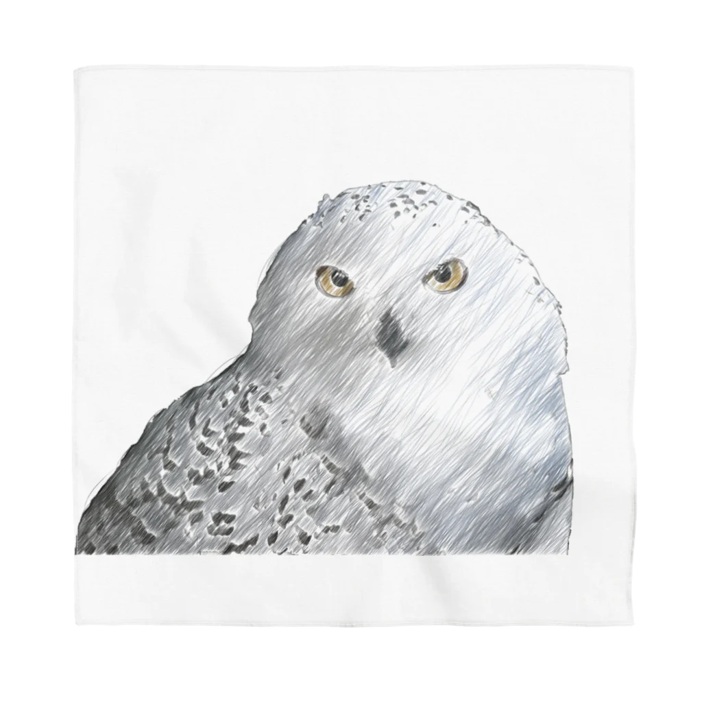 静かな山の頂へのフクロウ Bandana
