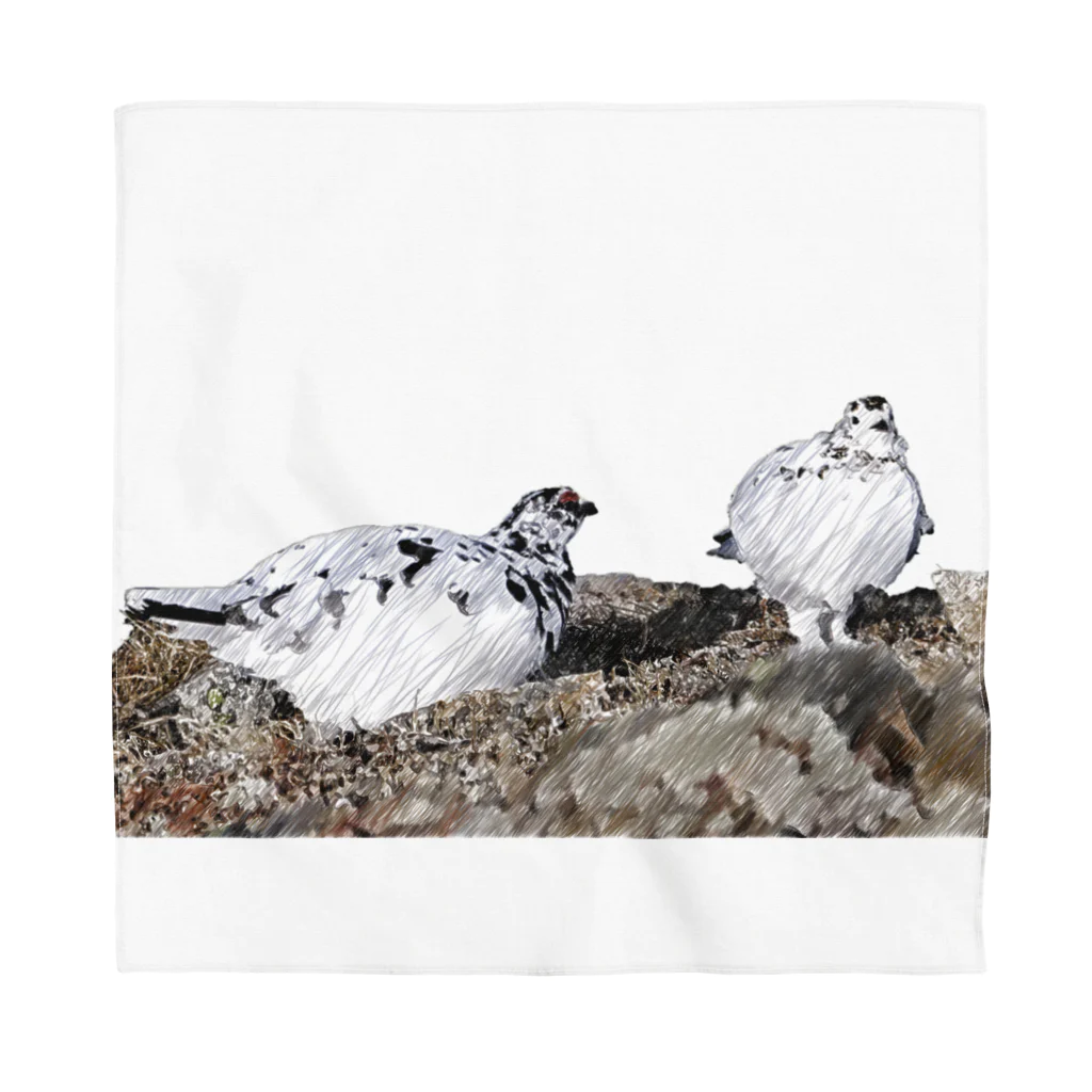 静かな山の頂への雷鳥のカップル Bandana