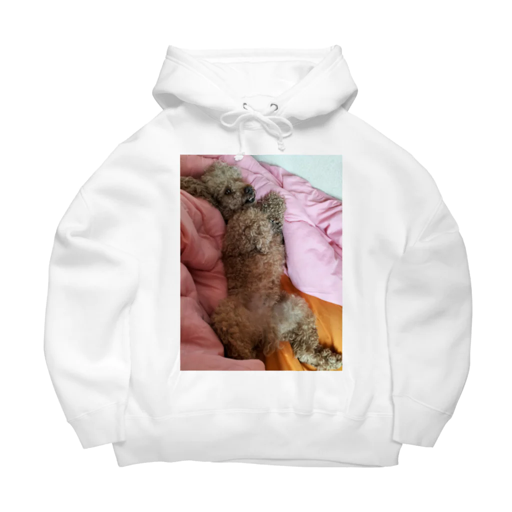(⚈ ̍̑⚈͜ ̍̑⚈)のトイプードルのメルくん Big Hoodie