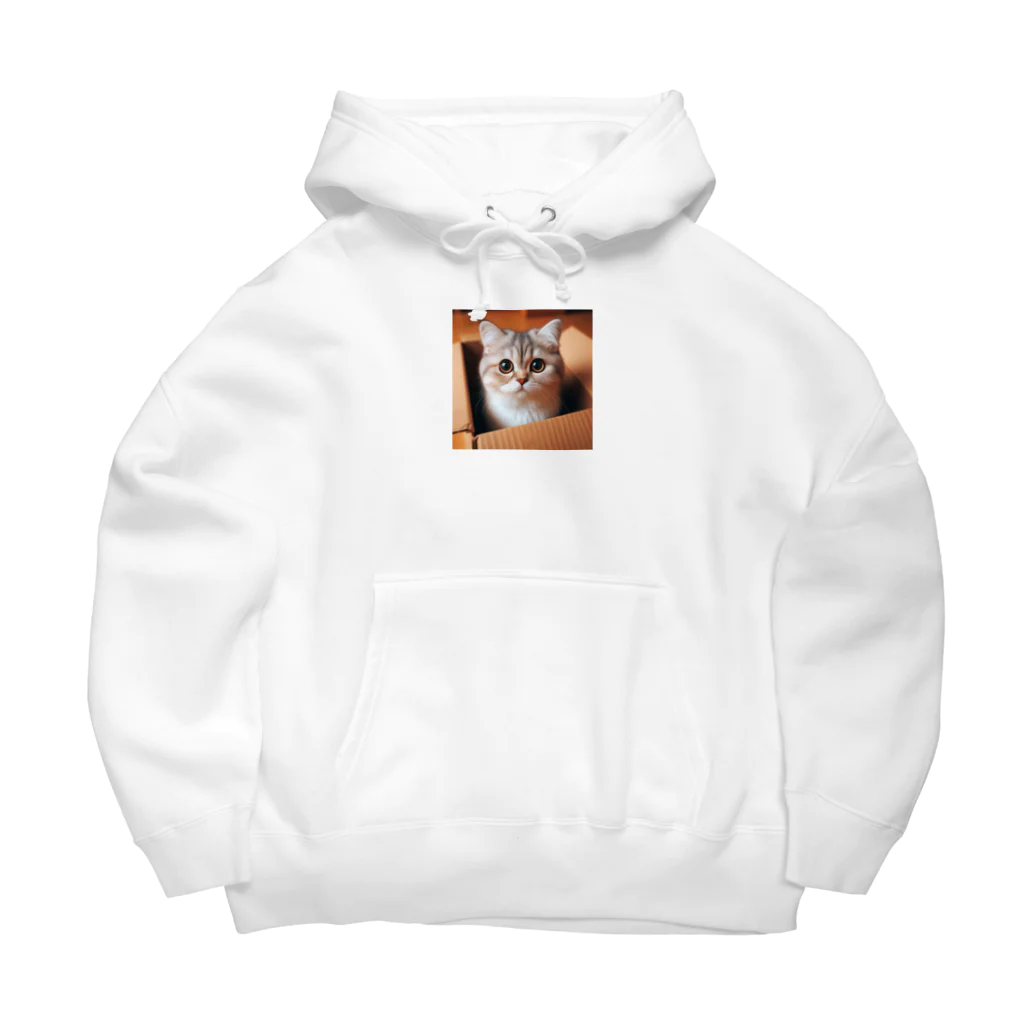 animalsの段ボール猫2 Big Hoodie