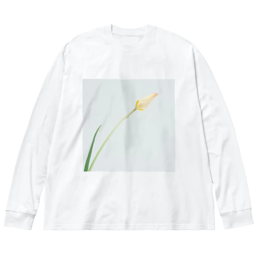 min P/Mのflower_001 Big Long Sleeve T-Shirt
