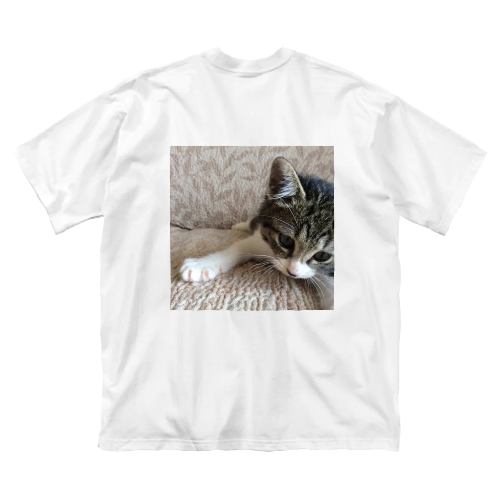 南の島のにゃんこのこねこのパル～南の島のにゃんこ～ Big T-Shirt